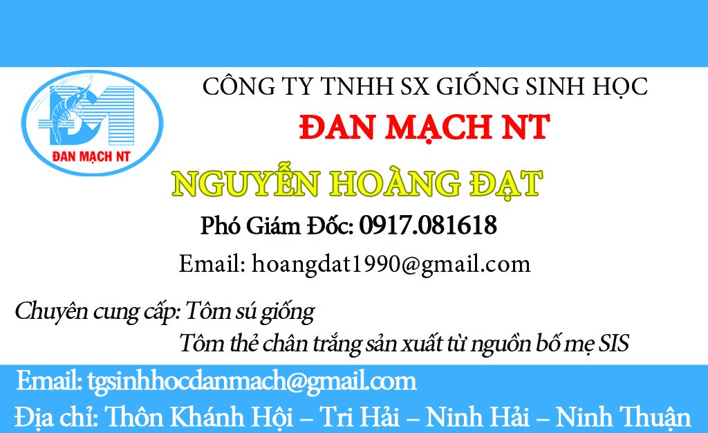 măt trước