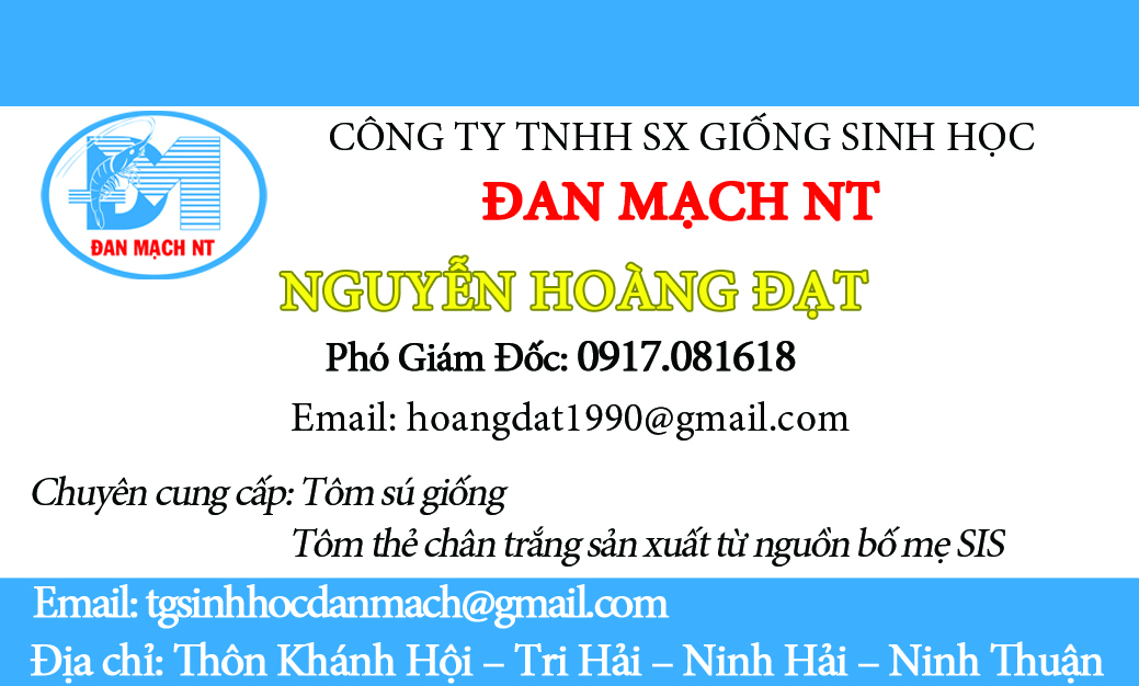 măt trước