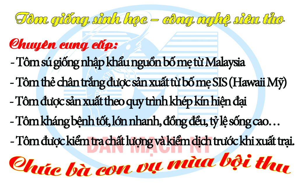 mặt sau